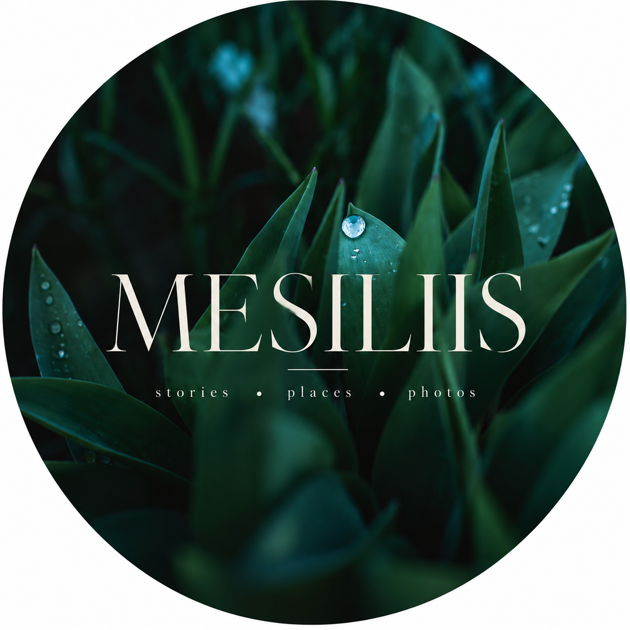 Mesiliis